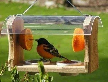 12 idées de mangeoires à oiseaux vraiment très mignons 1