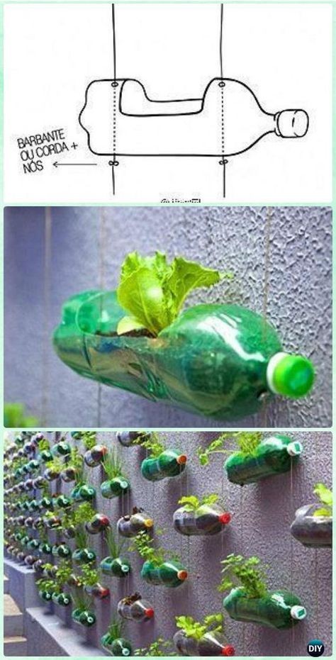 15 idées pour jardiner dans des bouteilles en plastique 11
