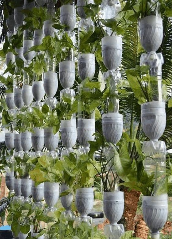15 idées pour jardiner dans des bouteilles en plastique 12