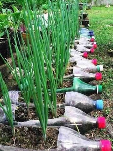 15 idées pour jardiner dans des bouteilles en plastique 2