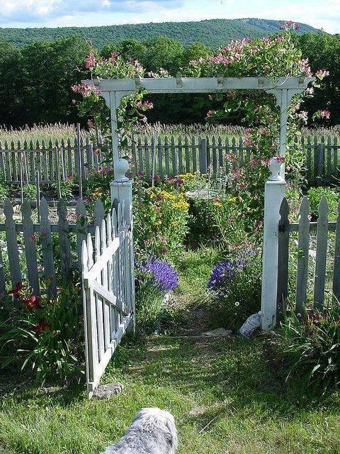 19 conceptions d'arches de jardin pour s'inspirer 8 19 conceptions d'arches de jardin pour s'inspirer 8