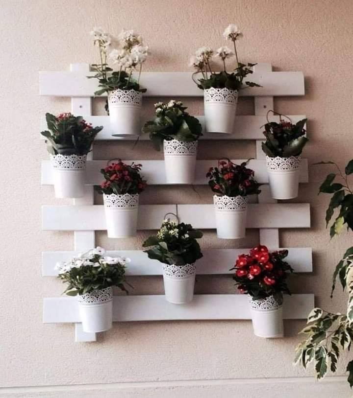 20 idées d'étagères murales pour plantes à faire soi-même 4