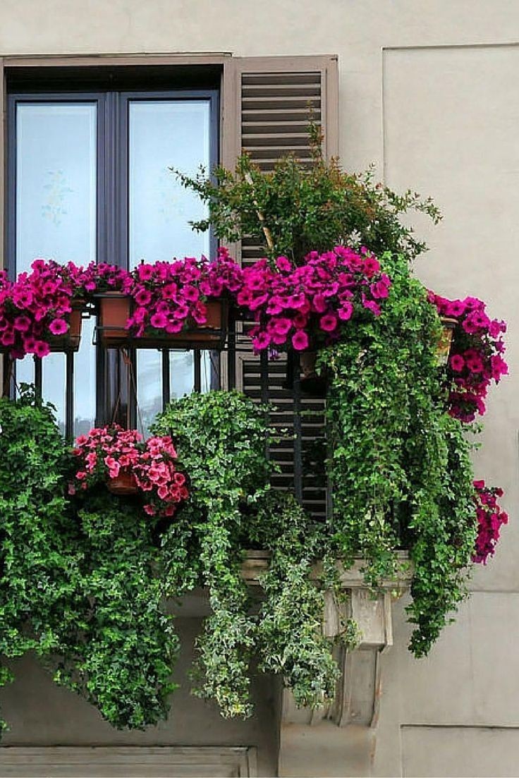 20 superbes idées pour décorer votre balcon avec des fleurs 3