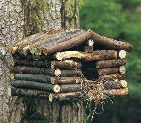 28 mangeoires à oiseaux à fabriquer soi-même pour zéro euros 5