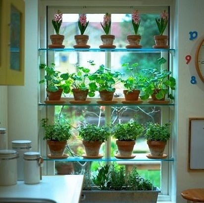 35 idées de mini potagers à faire dans la cuisine 31