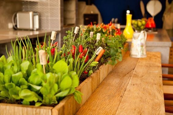 35 idées de mini potagers à faire dans la cuisine 9