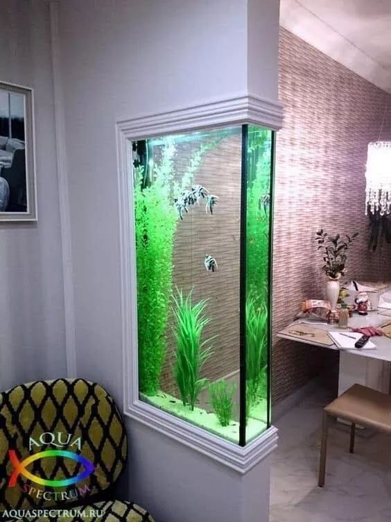 38 top idées d'Aquariums pour décorer votre maison 20