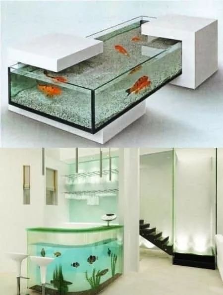 38 top idées d'Aquariums pour décorer votre maison 27
