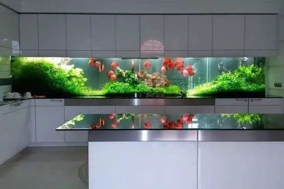 38 top idées d'Aquariums pour décorer votre maison 33