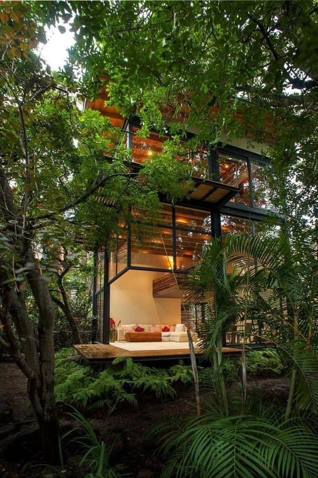 66 idées de maisons conçues pour les amoureux de la nature 28