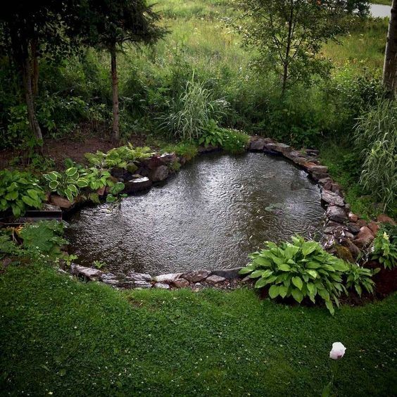 12 idées pour transformer votre jardin en une oasis extérieure 7