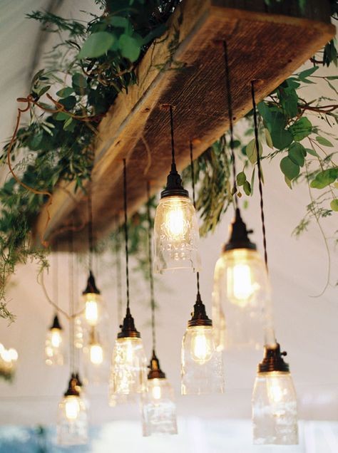 16 idées d'éclairages originaux avec des plantes 11