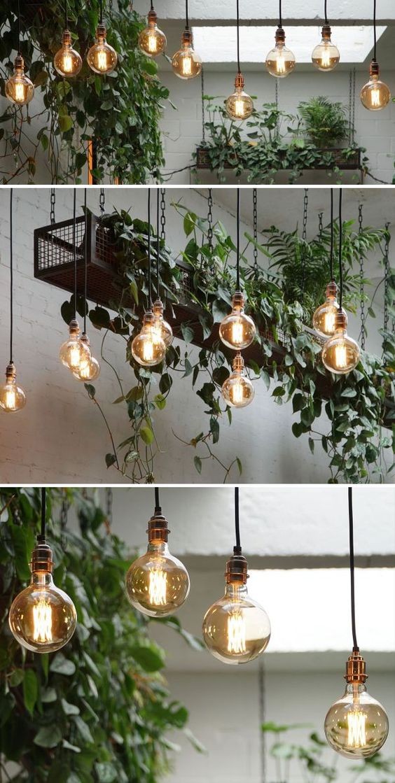 16 idées d'éclairages originaux avec des plantes 5