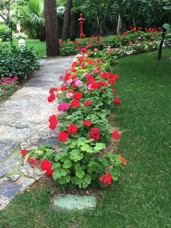 32 décorations de jardin avec des fleurs pour s'inspirer 9