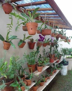39 étagères en bois pour avoir des plantes bien organisées 33