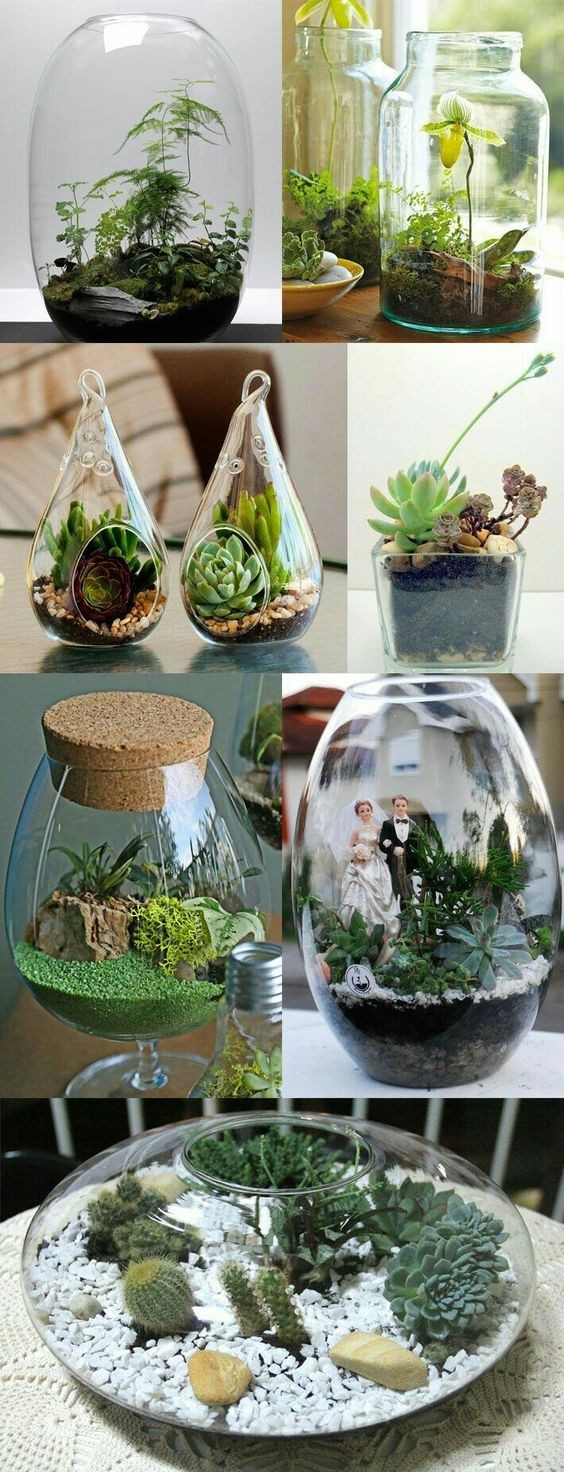 41 idées de mini jardins dans des bocaux en verre 13
