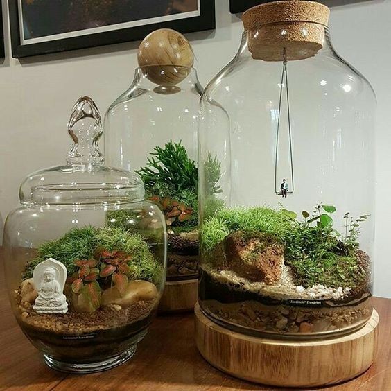 41 idées de mini jardins dans des bocaux en verre 17