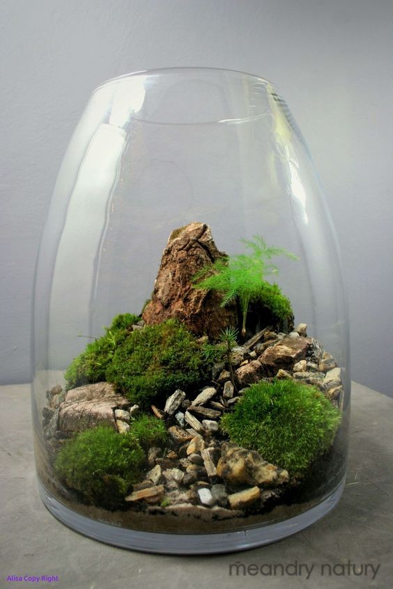 41 idées de mini jardins dans des bocaux en verre 32