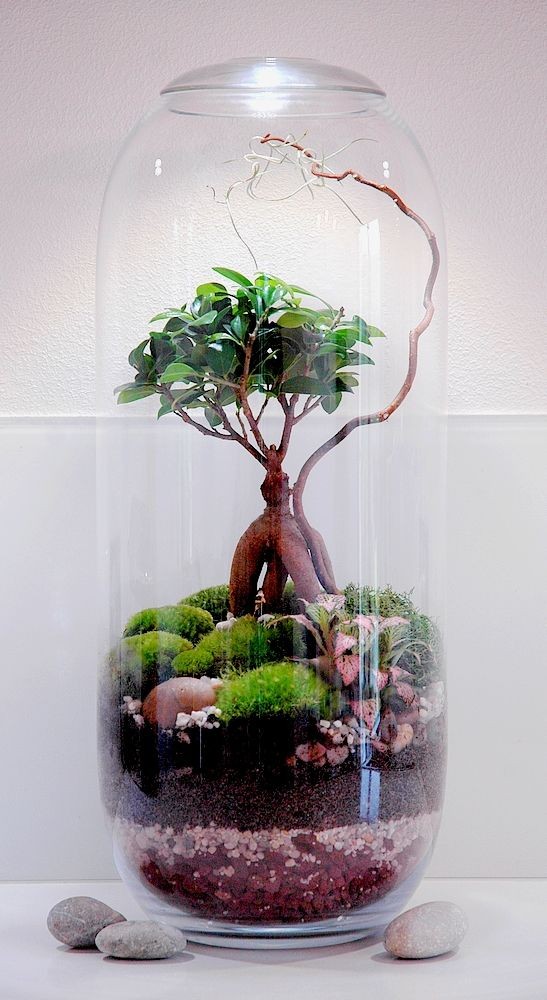 41 idées de mini jardins dans des bocaux en verre 39