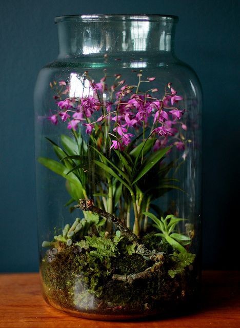 41 idées de mini jardins dans des bocaux en verre 6