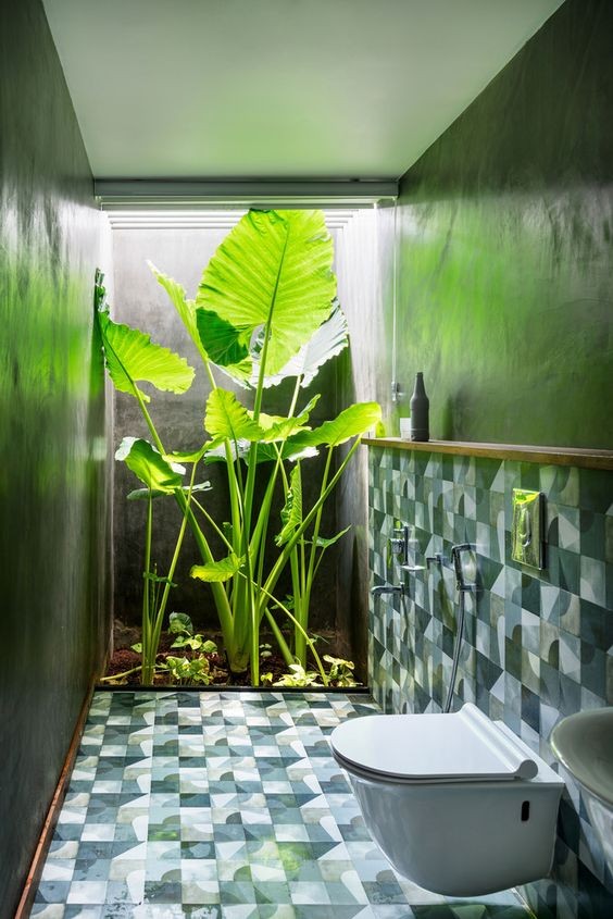 39 décorations de wc nature pour vous inspirer 7