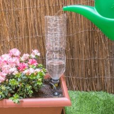 10 astuces pour économiser l'eau dans votre jardin 1