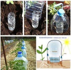 10 astuces pour économiser l'eau dans votre jardin 3