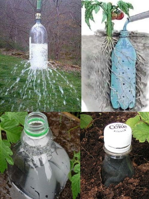 10 astuces pour économiser l'eau dans votre jardin 4
