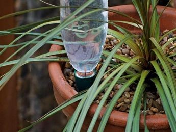 10 astuces pour économiser l'eau dans votre jardin 5