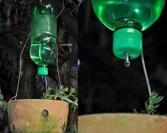 10 astuces pour économiser l'eau dans votre jardin 7