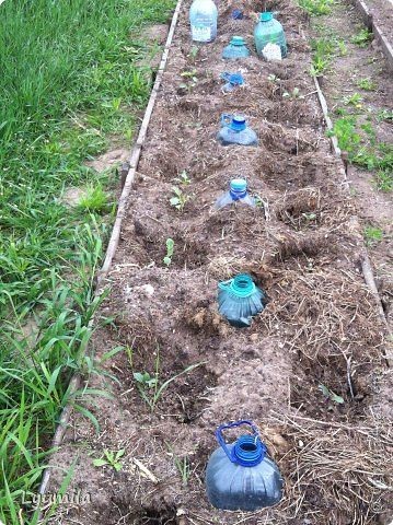 10 astuces pour économiser l'eau dans votre jardin 9