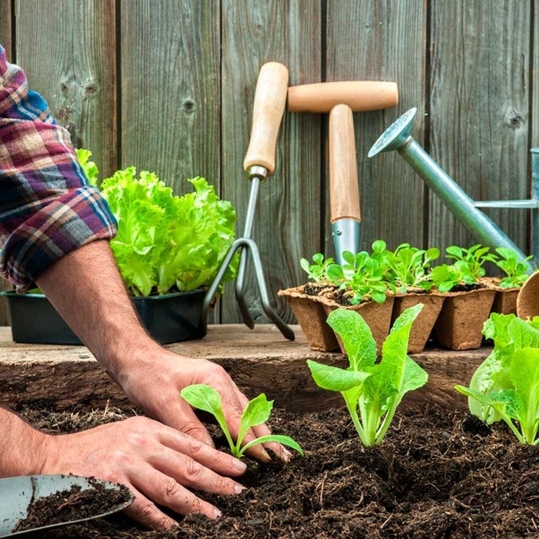 25 astuces pour les jardiniers en déplacement 12