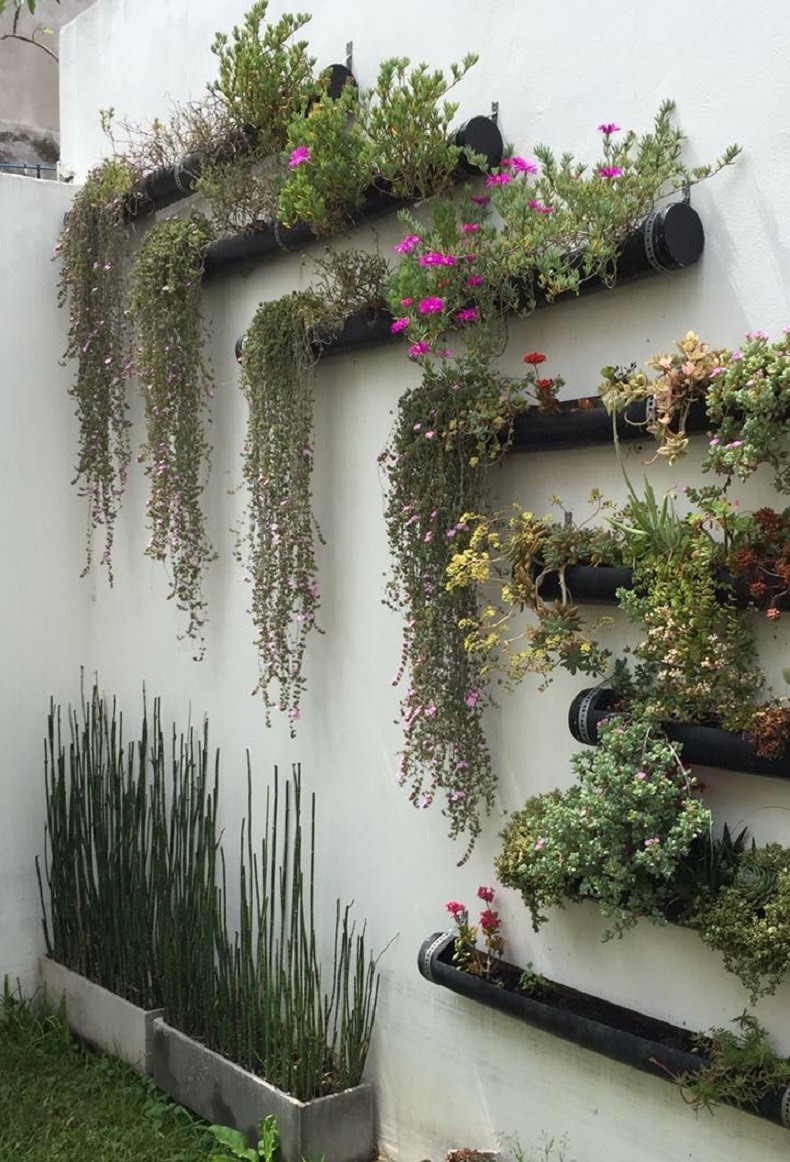 15 idées de décorations pour un jardin vertical 6