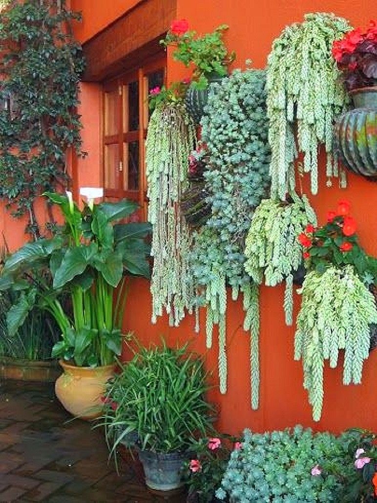 15 idées de décorations pour un jardin vertical 10