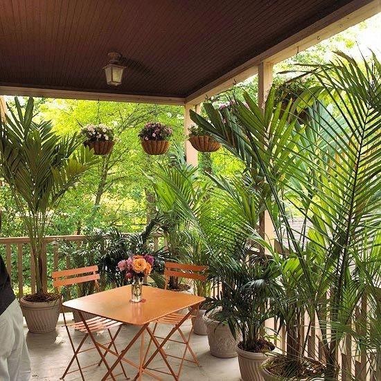 35 idées pour décorer une maison avec des plantes 1