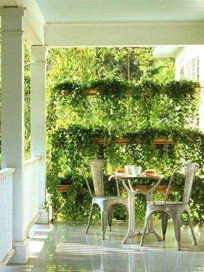 35 idées pour décorer une maison avec des plantes 5