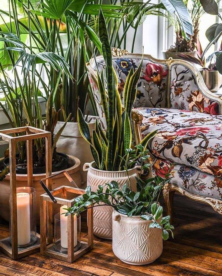 35 idées pour décorer une maison avec des plantes 9