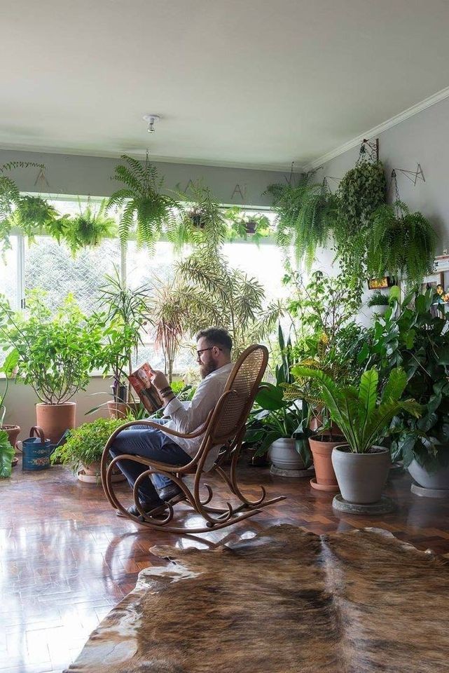 35 idées pour décorer une maison avec des plantes 16