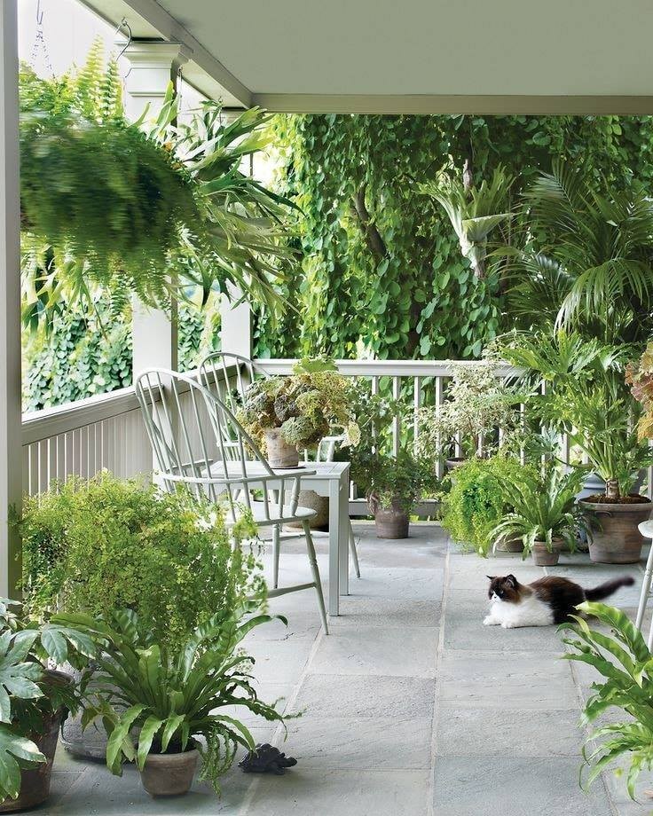 35 idées pour décorer une maison avec des plantes 19