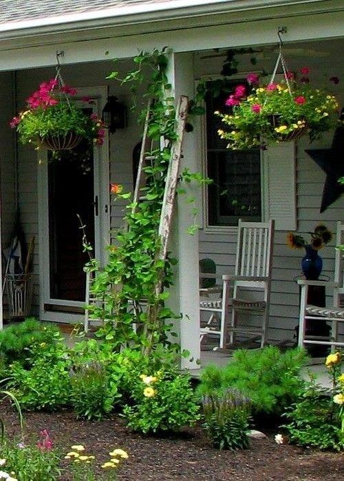 35 idées pour décorer une maison avec des plantes 29