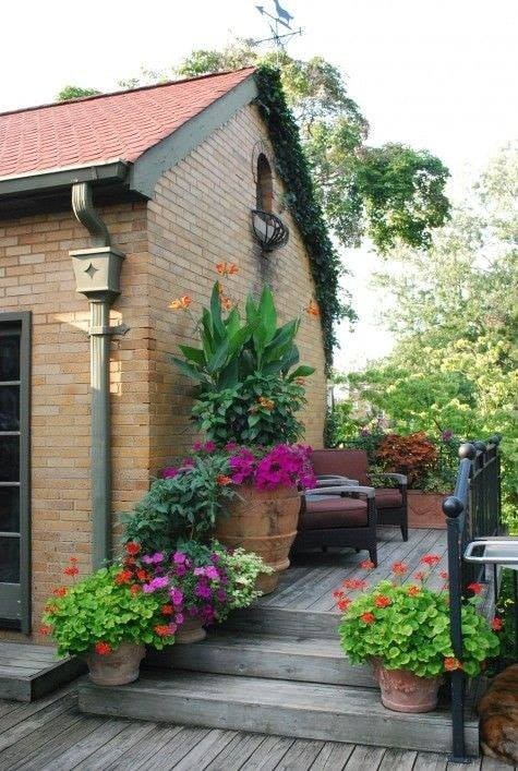 35 idées pour décorer une maison avec des plantes 31