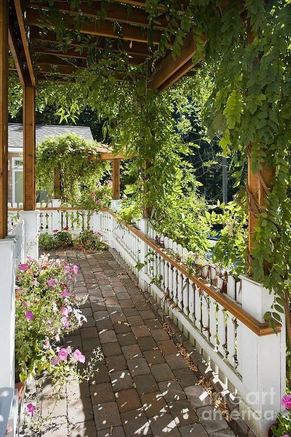 35 idées pour décorer une maison avec des plantes 35