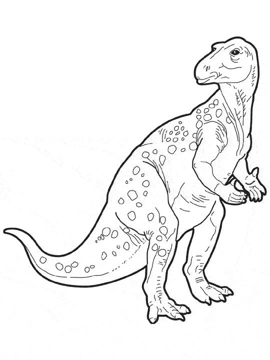 50 top idées de coloriages dinosaure à imprimer 11