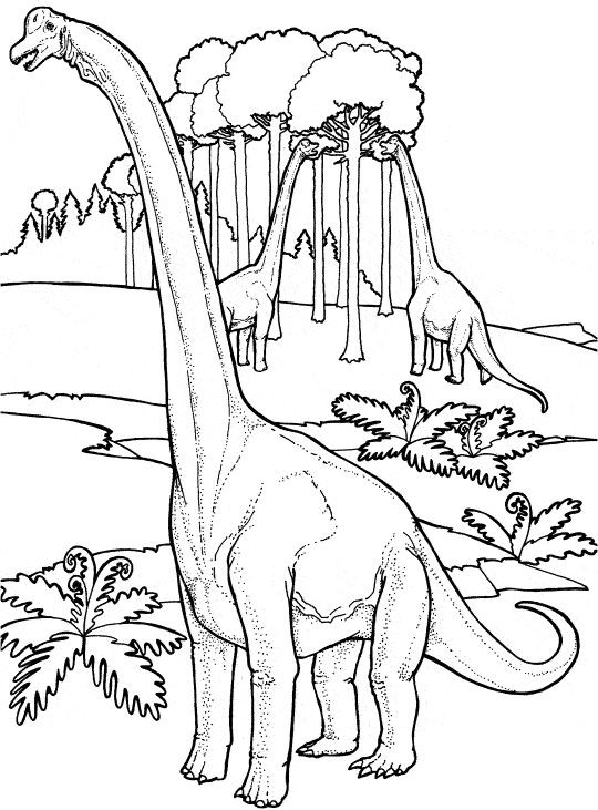 50 top idées de coloriages dinosaure à imprimer 35