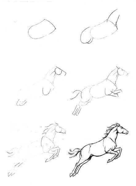 63 idées de dessins de cheval : pour apprendre à dessiner des chevaux 1