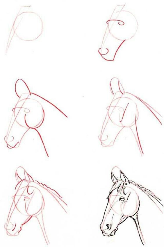 63 idées de dessins de cheval : pour apprendre à dessiner des chevaux 2