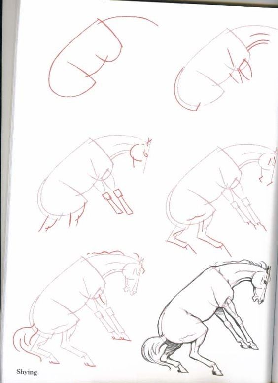 63 idées de dessins de cheval : pour apprendre à dessiner des chevaux 3