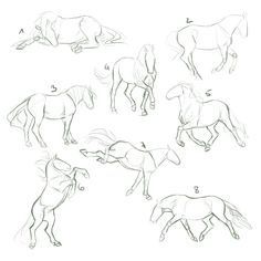 63 idées de dessins de cheval : pour apprendre à dessiner des chevaux 5