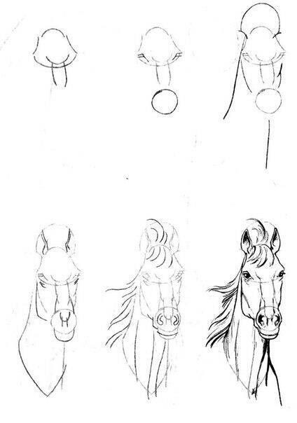 63 idées de dessins de cheval : pour apprendre à dessiner des chevaux 8