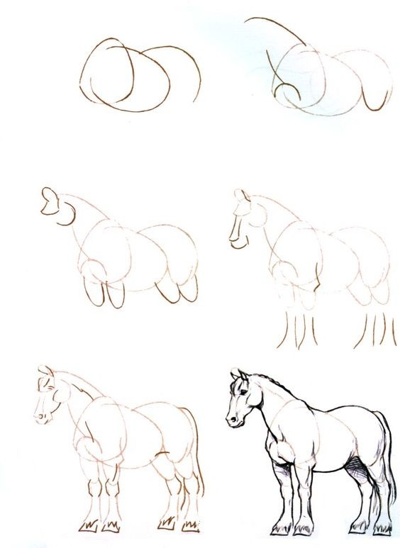 63 idées de dessins de cheval : pour apprendre à dessiner des chevaux 10